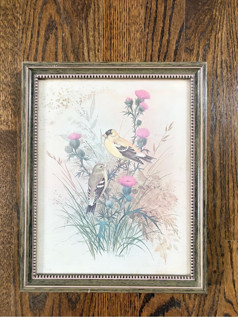 Vintage Framed Goldfinch Botanical Wall Art Cottagecore Grandmacore Granny chic
